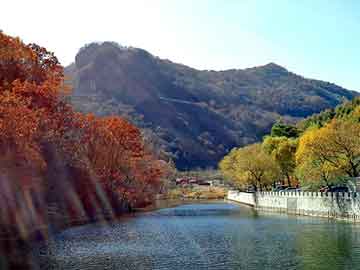 新澳天天开奖资料大全旅游团，小猪崽价格